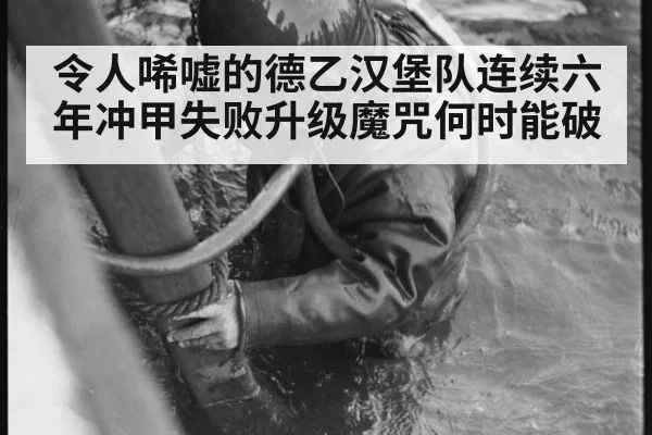 令人唏嘘的德乙汉堡队连续六年冲甲失败升级魔咒何时能破
